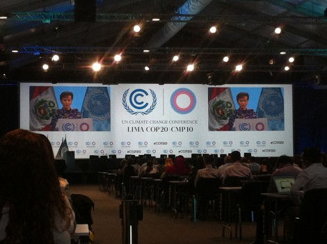 IPA researcher Mareike Well takes part in UN climate conference